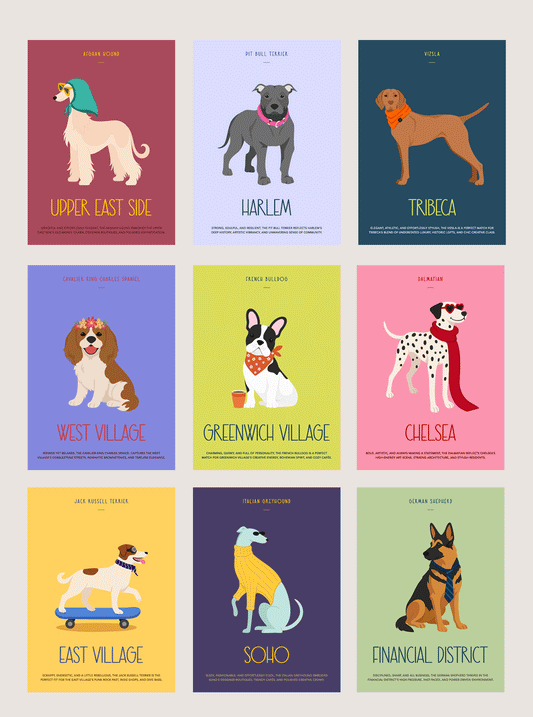 Paw District Postcard Set