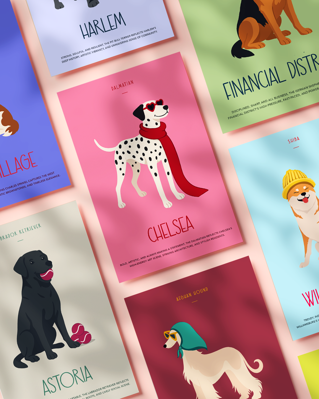 Paw District Postcard Set