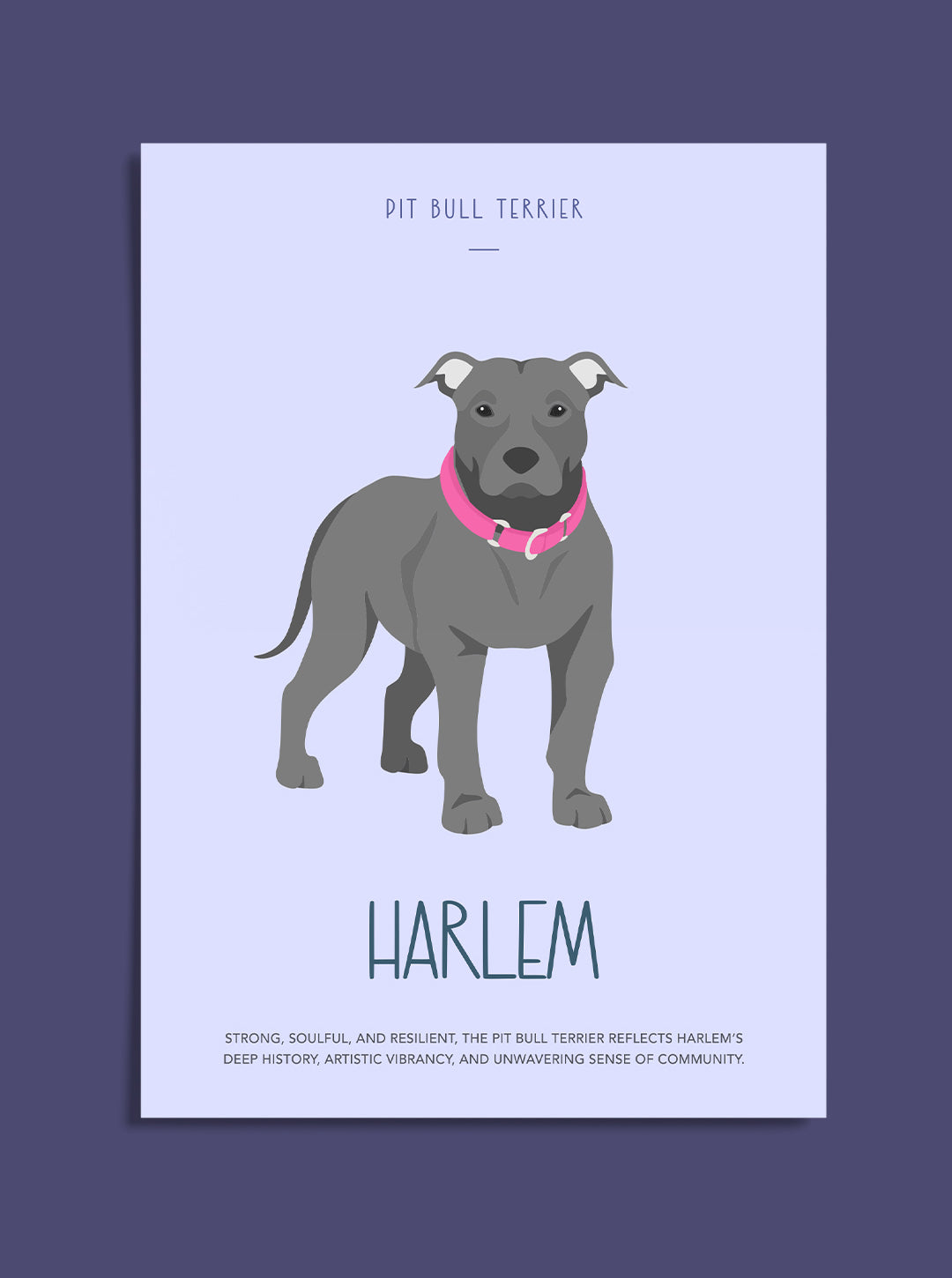 Paw District Postcards