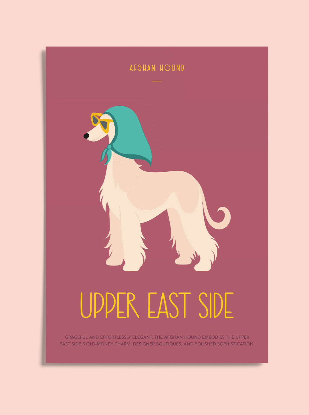 Paw District Postcard Set